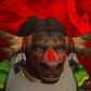 Moneymoo avatar