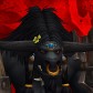 Spinsfury avatar