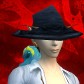 Dylahn avatar