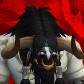 Lawlawzz avatar