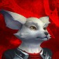 Potoquinho avatar
