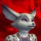 Ningkitten avatar