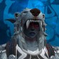Omgimabear