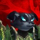 Cybsded avatar
