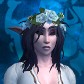 Veeara