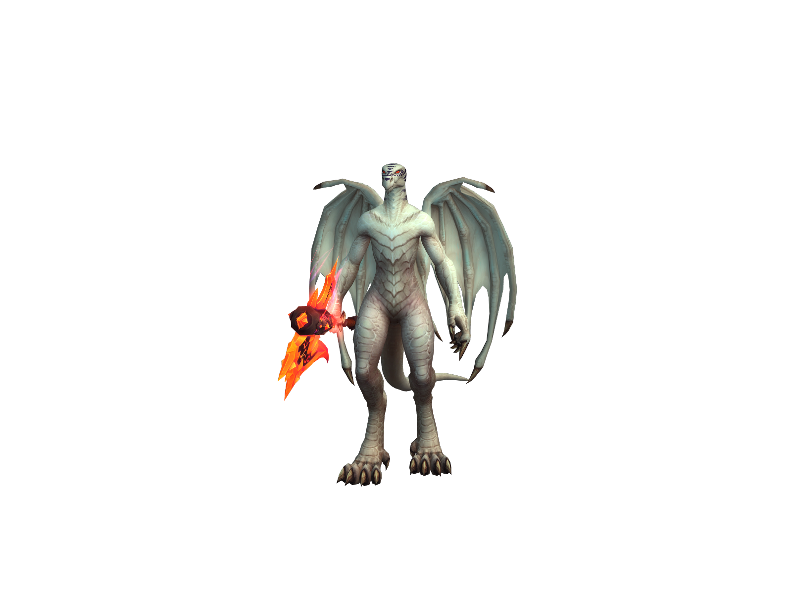 Augfawn
