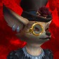 Praxinine avatar
