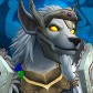 Furyiorsrace