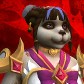 Chuzhao