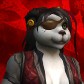 Kungfukara