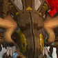 Docdrood