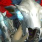 Edgeclaw