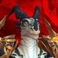 Zalanat avatar