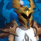 Acercousin