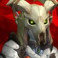 Integra avatar