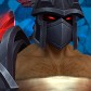 Kombatkoala portrait