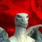 Raydri