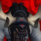 Mistweaver portrait