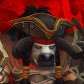 Druidbatto