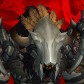 Armagrog