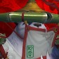 Gaulong