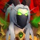 Gravelot avatar