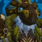 Judara