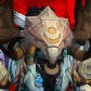 Dirtybull avatar