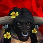 Baqara