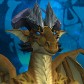 Pethunter avatar
