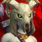 Sandradrelil avatar