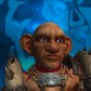 Gnommaash