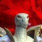 Exploistasia avatar