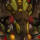 Dokkgom