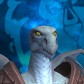 Invisidrake