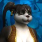 Chityywok