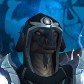 Saurkraut avatar