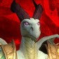 Shanke avatar