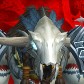 Swiftkill