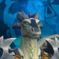 Kalvorejr
