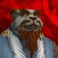 Serencevada avatar