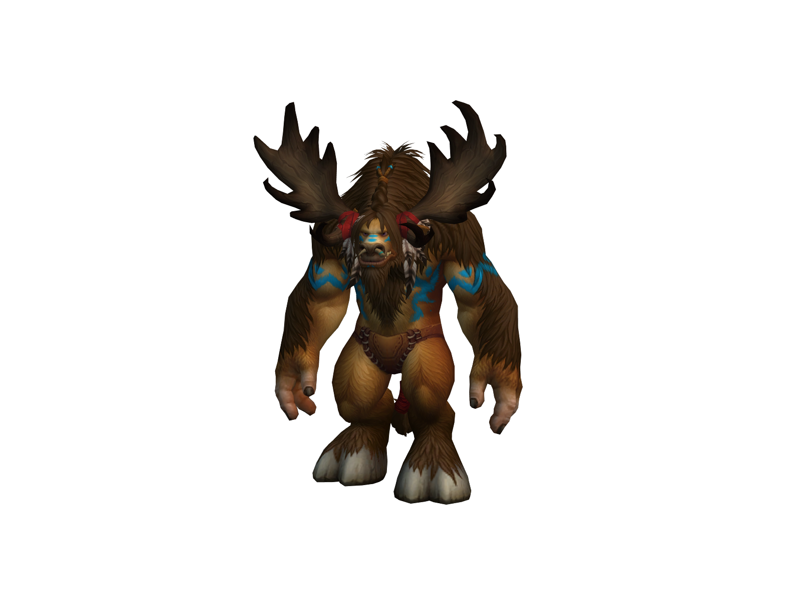 Bearboy
