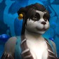 Wokyu avatar