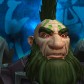 Wildshield avatar