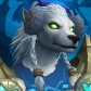 Druidshi avatar
