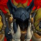Zeekthebear avatar