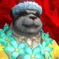 Chinesepo
