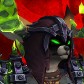 Avellano avatar