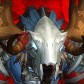 Dreamsdruid