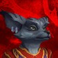 Hongui avatar